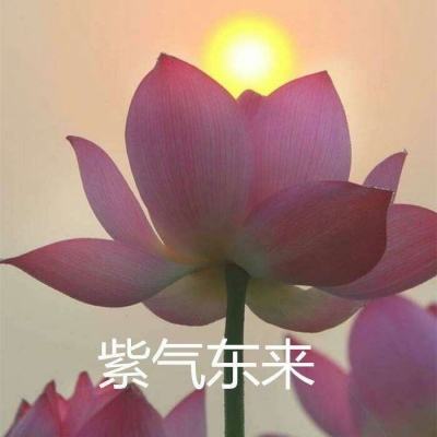 红色的跳线游戏下载